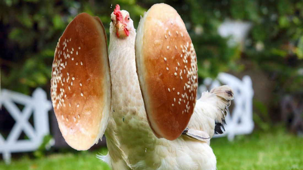 Chicken Fillet Burger - Pizza Delivery in Waddon CR0